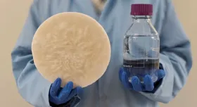 A person in a baby blue lab coat wears dark blue gloves, their face not visible. In their right hand they hold a light beige, circular object resembling a cheese wheel. In their left hand they hold a glass bottle filled halfway with a black liquid and closed with a violet stopper.