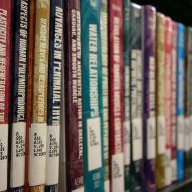 UT Libraries